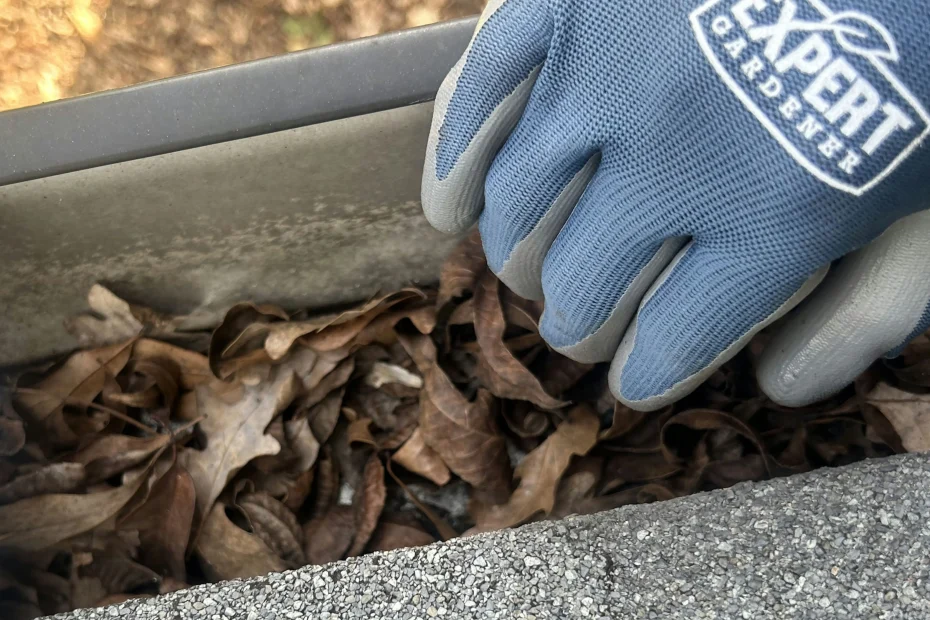 Gutter Cleaning Indian Trail