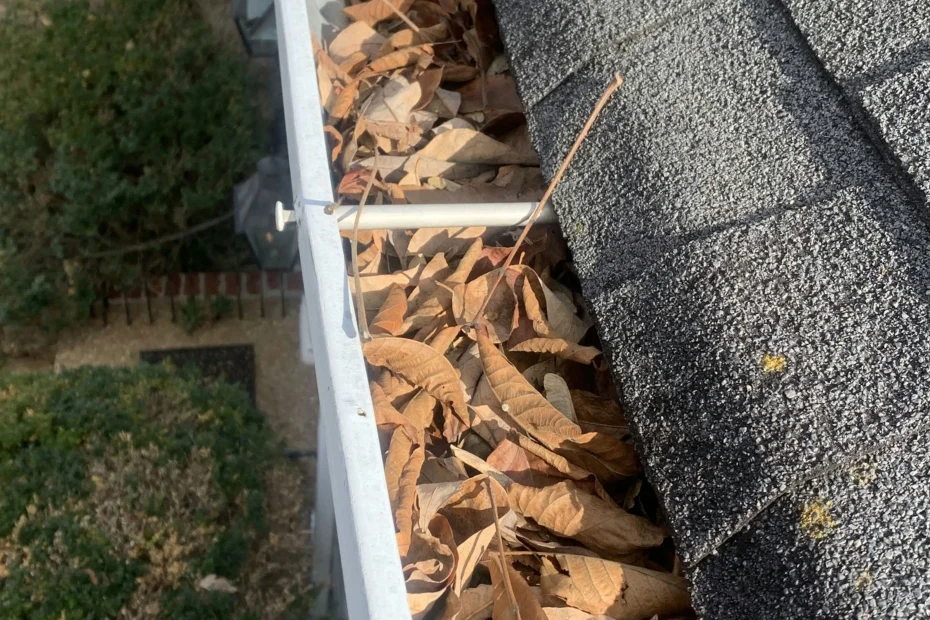 Gutter Cleaning Indian Trail